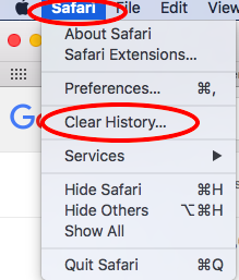 Safari Clear History